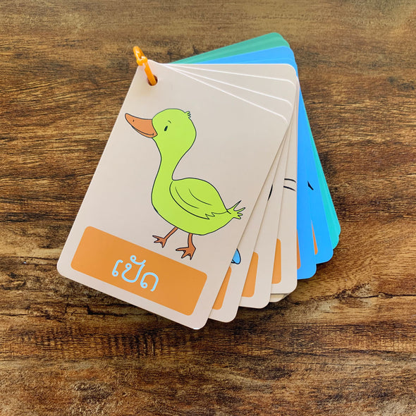 Lao Animals and Insects Ring Flash Cards