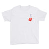 Bag Chaser (PInk Milk) Youth T-Shirt