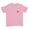 Bag Chaser (PInk Milk) Youth T-Shirt