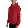 Southeast Flags Sleeve Hit Hoodie